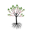 tree with roots oak vector image