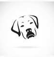 dog headlabrador retriever on white vector image