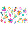 set of different tropical isolated bright leaves vector image vector image