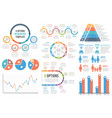 infographic elements vector image vector image