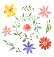 colorful flowers vector image vector image
