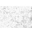 distressed black texture vector image