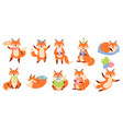 cartoon fox mascot funny animal character cute vector image vector image