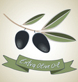 extra olive oil vector image