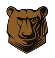 big brown bear head vector image