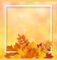 frame autumn fallen leaves vector image vector image