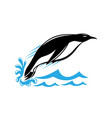 penguin jumping out water vector image