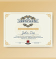 vintage elegant certificate of achievement vector image