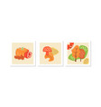 autumn nature social media posts mockup set vector image