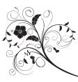 background-flower vector image