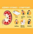 kidney stones symptoms cartoon style infographic vector image vector image