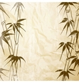 bamboo with leaves pattern vector image