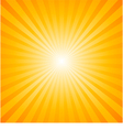 sunburst pattern vector image