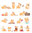 cartoon cute puppy set vector image