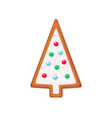 christmas tree shaped gingerbread cookie vector image
