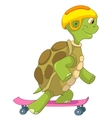 Funny turtle snowboarding Royalty Free Vector Image