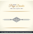 new calligraphic page dividers and elements vector image vector image
