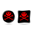 jolly roger buttons vector image