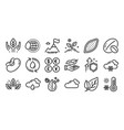 grow plant rainy weather and soy nut line icons vector image