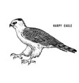 happy eagle wild forest bird of prey hand drawn vector image vector image
