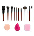 cosmetic makeup tools set vector image