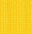 seamless texture corn vector image vector image