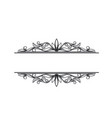 ornate frame scroll element vector image