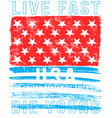 american grunge flag an grunge flag vector image vector image