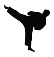 karate master silhouette vector image vector image