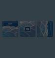set of abstract luxury golden square cards vector image vector image