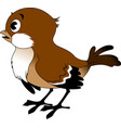sparrow vector image vector image