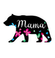 mama bear vector image vector image