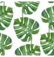 watercolor monstera leaf seamless pattern vector image vector image