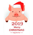 christmas greeting card cute pig vector image