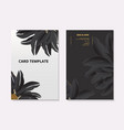 sunflower contrast card template summer 3d vector image vector image