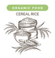rice harvest sketch vector image
