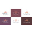 collection of luxury line art beauty flower logo vector image