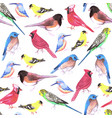 colorful watercolor birds seamless background vector image