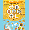 beekeeping honey collection apiary infographic vector image