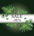 frame with leaves tropical plants vector image