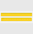 ruler centimeter and inches scale plastic vector image vector image
