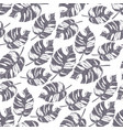 monstera tropical leaf vector image