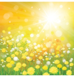 Green background Royalty Free Vector Image - VectorStock