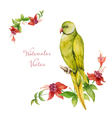 parrot vector image
