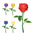 rose design vector image