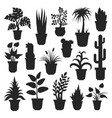 house plants silhouettes vector image