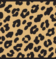 leopard print brown black fur seamless pattern vector image vector image