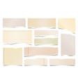 colorful ripped paper strips isolated on white vector image