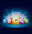 lottery balls and bingo tickets background vector image