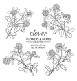 clover set vector image vector image